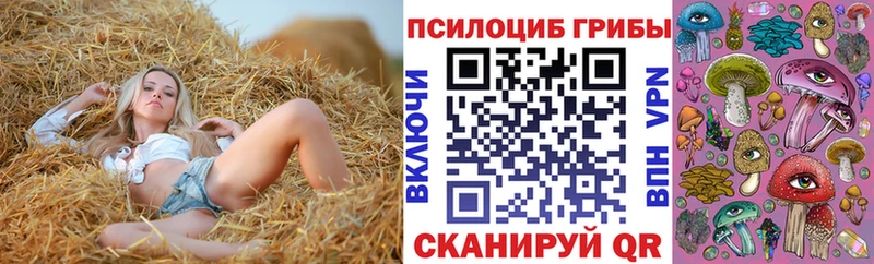 Галлюциногенные грибы Cubensis  Каменск-Шахтинский 