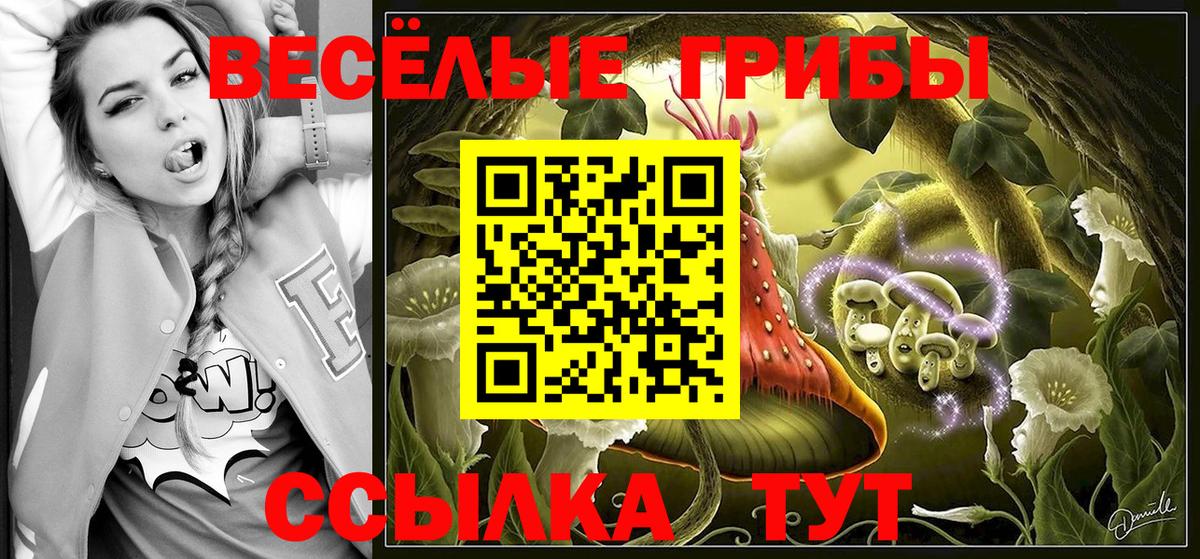 Галлюциногенные грибы Magic Shrooms Каменск-Шахтинский