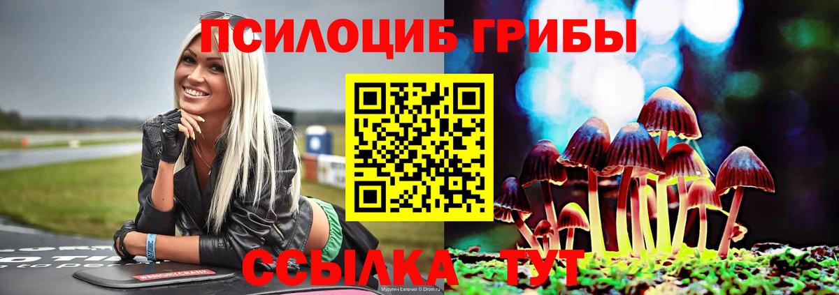 что такое   Каменск-Шахтинский  Псилоцибиновые грибы мицелий 